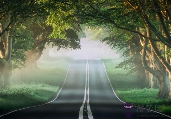 生肖牛的人2020年婚姻詳解,婚姻生活簡單溫馨