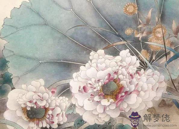 1986年生的34歲生肖虎人2020年運勢好嗎，升職加薪，注意健康