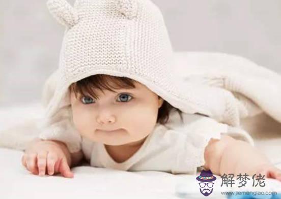 2020年10月出生的鼠寶寶性格好不好,他們命運如何呢