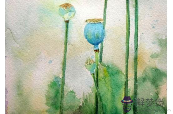 1960年生的60歲生肖屬鼠人2020年運勢好嗎，注意是非、財運通暢！