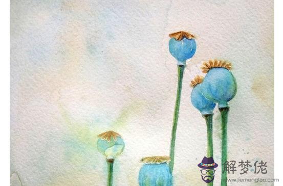 1960年生的60歲生肖屬鼠人2020年運勢好嗎，注意是非、財運通暢！