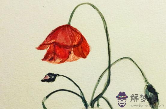 1972年生的48歲生肖屬鼠人2020年運勢好嗎,切忌感情用事