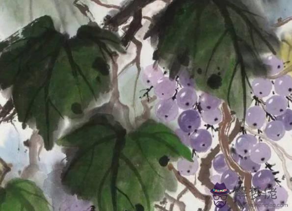 生肖豬2020年適合談戀愛嗎，和屬虎最相配