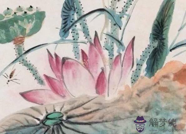 生肖屬狗的媽媽和什麼生肖屬相的孩子不合,狗與雞不合