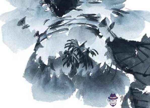 生肖兔2020年適合談戀愛嗎，和生肖鼠最相配