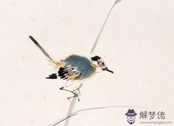 生肖猴2020年適合談戀愛嗎,和馬有共同話題