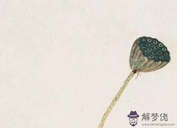 生肖屬鼠的爸爸和什麼生肖屬相的孩子相沖,鼠和馬相沖