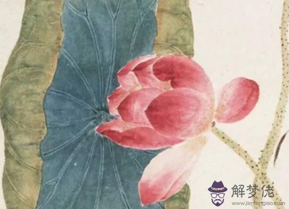 生肖屬鼠的爸爸和什麼生肖屬相的孩子相沖,鼠和馬相沖