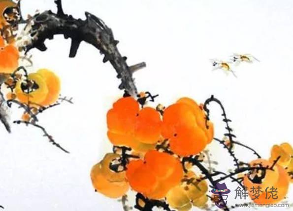 生肖屬兔的爸爸和什麼生肖屬相的孩子相沖,兔和雞、鼠相沖