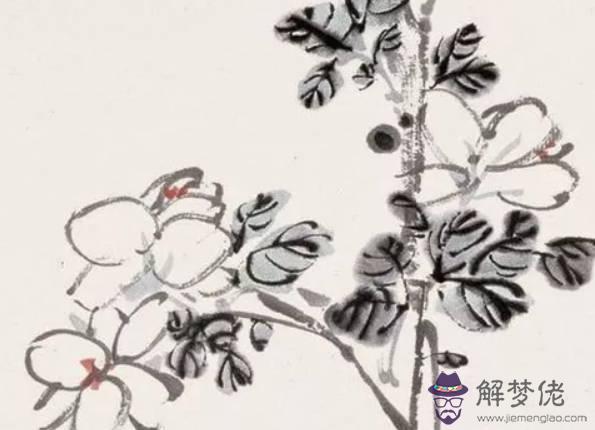 生肖屬牛的媽媽和什麼生肖屬相的孩子不合,牛和羊不合