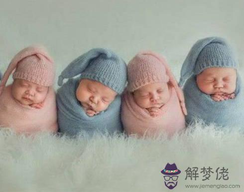 2020年6月出生的鼠寶寶命好嗎,他們的財富運非常旺