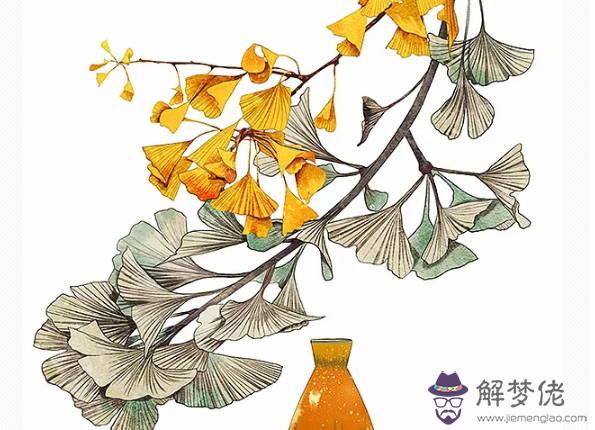 生肖屬豬女2020年6月份生鼠寶寶好嗎,會相合嗎