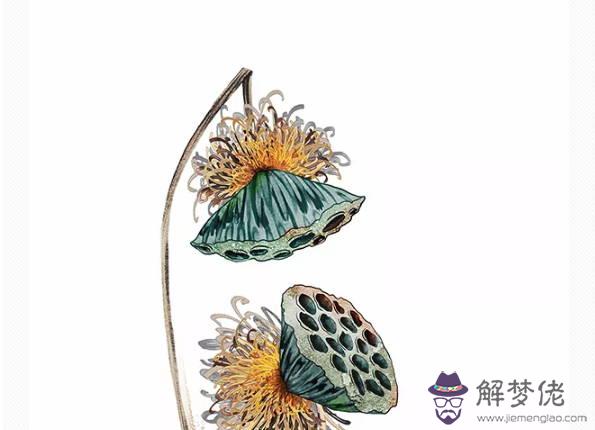 生肖屬豬女2020年6月份生鼠寶寶好嗎,會相合嗎