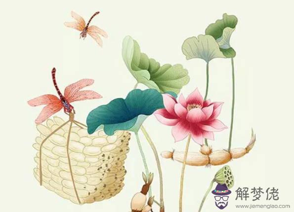 生肖屬豬女2020年11月份生鼠寶寶好嗎，性格怎麼樣