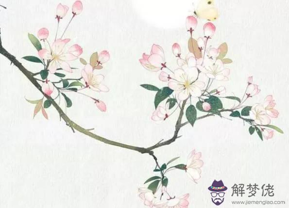 生肖屬蛇的媽媽和什麼生肖屬相的孩子是六合,蛇和豬六合