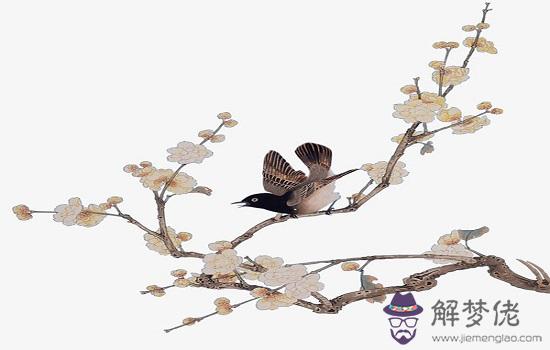 生肖屬雞和生肖屬豬能結婚嗎,婚配好不好