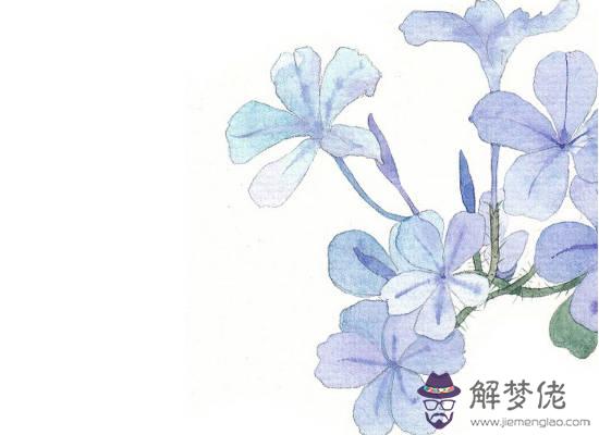 2020年生肖屬虎的每月運勢,下半年運勢明顯變好