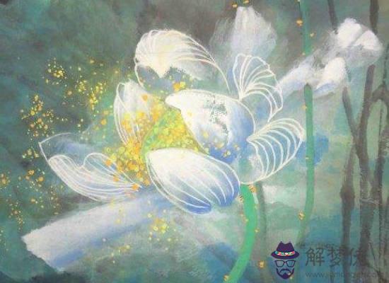 2020年生肖屬兔的每月運勢,這幾個月要注意