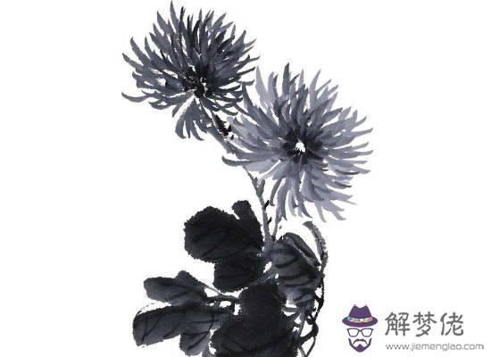 2020年生肖屬蛇的每月運勢,下半年運勢明顯變好