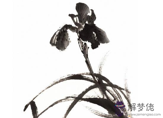 2020年生肖屬蛇的每月運勢,下半年運勢明顯變好