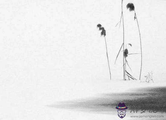 2020年生肖屬鼠的每月運勢，這幾個月要注意