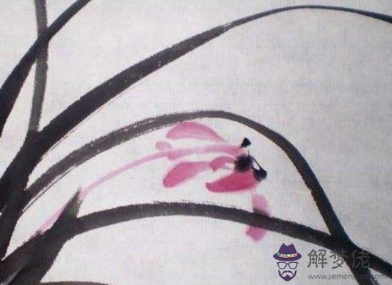 2020年生肖屬鼠的每月運勢，這幾個月要注意