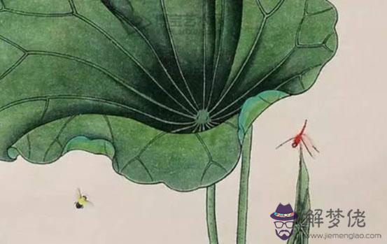 什麼時辰出生的屬鼠人命運最好,酉時鼠心地善良