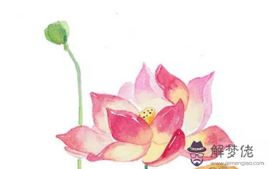 什麼時辰出生的屬鼠人命運最好,酉時鼠心地善良