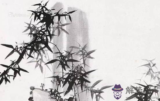 生肖屬豬女2020年1月份生鼠寶寶好嗎,是個不怕坎坷的人