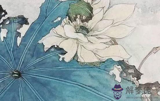 生肖屬豬女2020年1月份生鼠寶寶好嗎,是個不怕坎坷的人