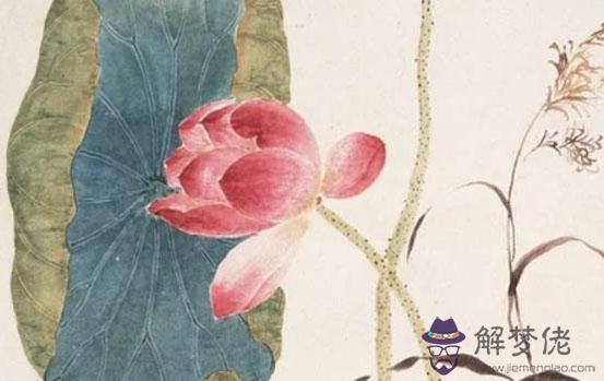 什麼時辰出生的屬馬人命運最好，丑時馬知足常樂