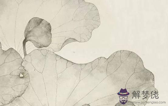 生肖屬雞女2020年9月份生孩子好不好,命好嗎