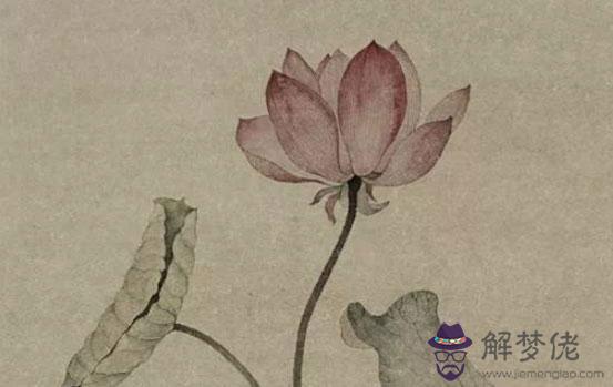 生肖屬狗女2020年1月份生小孩好不好,一生豐衣足食祖輩蔭庇