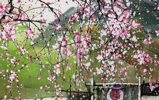 生肖屬狗女2020年7月份生小孩好不好,你最適合生屬鼠的孩子