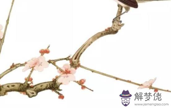 生肖屬虎的父母和什麼生肖屬相的孩子最相合