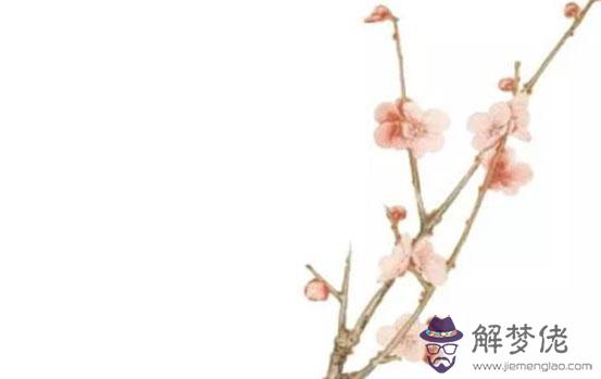 生肖屬虎的父母和什麼生肖屬相的孩子最相合