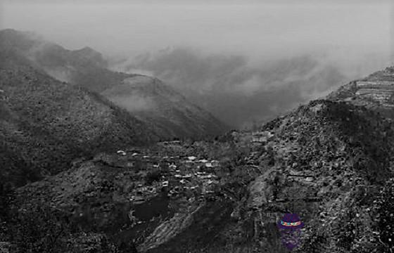 生肖屬兔和生肖屬馬能結婚嗎，婚配好不好