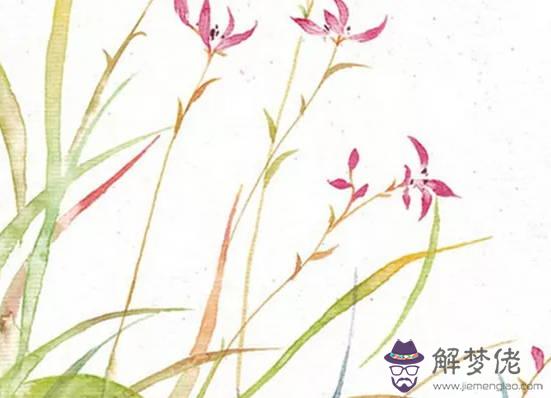 生肖屬龍女2020年6月份生小孩好嗎,會相合嗎