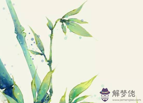 生肖屬兔女2020年3月份生鼠寶寶好嗎,會相合嗎