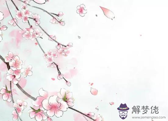 生肖屬虎女2020年5月份生鼠寶寶好嗎,命好嗎