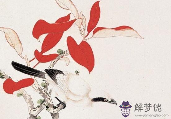 生肖屬馬媽媽和生肖屬狗爸爸2020年適合生鼠寶寶嗎