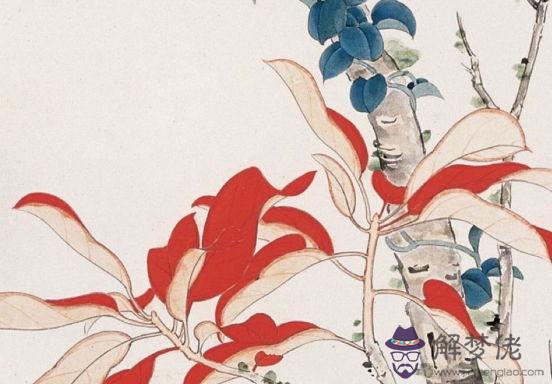 生肖屬馬媽媽和生肖屬狗爸爸2020年適合生鼠寶寶嗎