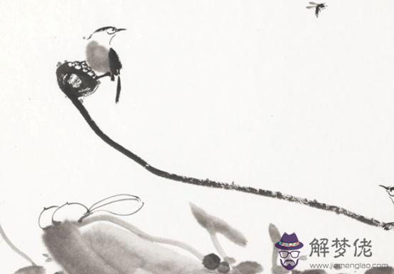 生肖屬羊媽媽和生肖屬雞爸爸2020年適合生鼠寶寶嗎