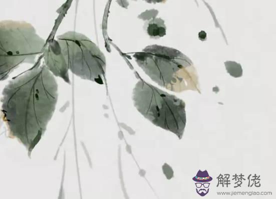 生肖屬龍媽媽和屬豬爸爸2020年適合生小孩嗎，會合嗎？