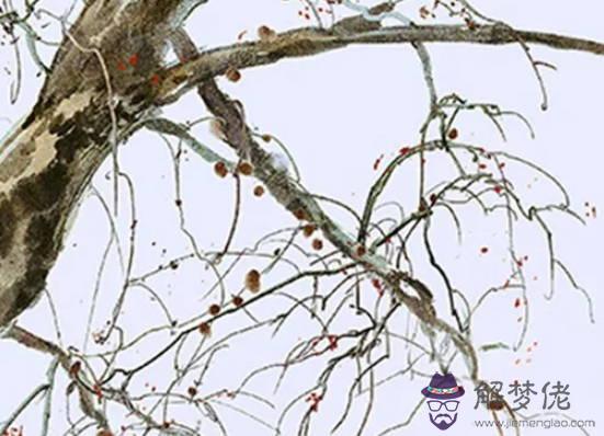 生肖屬蛇媽媽和屬羊爸爸2020年適合生小孩嗎,會合嗎?