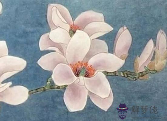 生肖屬蛇媽媽和屬雞爸爸2020年適合生小孩嗎,相合?