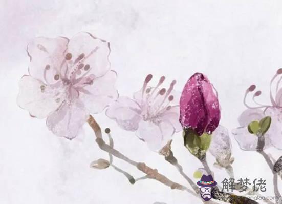 生肖屬蛇媽媽和屬狗爸爸2020年適合生小孩嗎,性格相合?