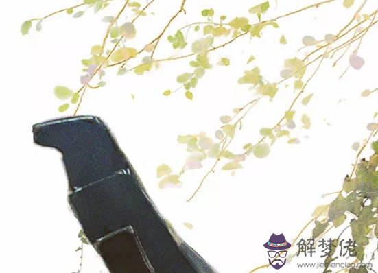生肖屬鼠女2020年12月份生小孩好不好,命好嗎
