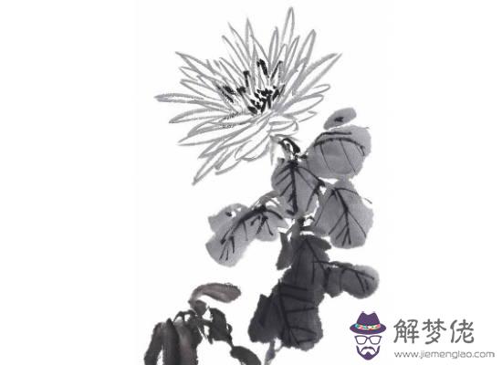 2020年生肖屬羊女和生肖屬狗男可以結婚嗎,相配嗎