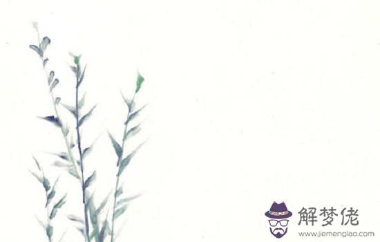生肖屬牛和生肖屬虎的婚配好嗎，相合還是相沖